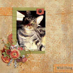 wild thing