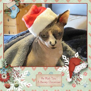 Meowy Christmas
