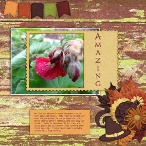 PS_-_GS_Nov_16_Insp