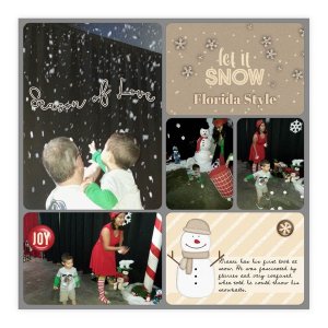 Let it snow (Florida Style)
