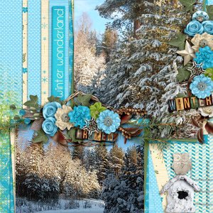 Winter-wonderland8