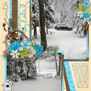 Winter Wonderland