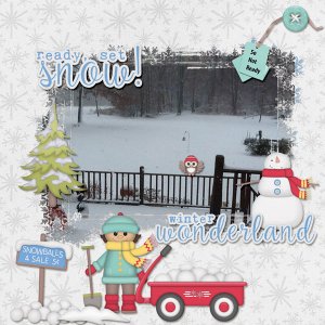 Snow Not Ready