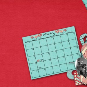 Calendar Feb 2011