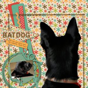 Batdog
