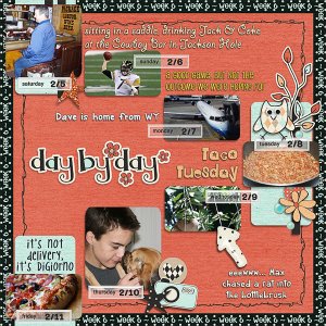 Lisa's Week Six