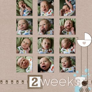 2 weeks