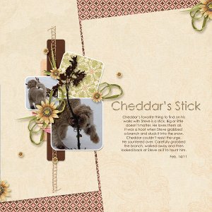 Cheddar's Stick-600