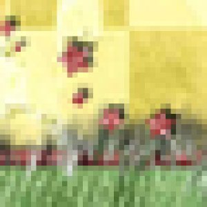 FF banner attempt