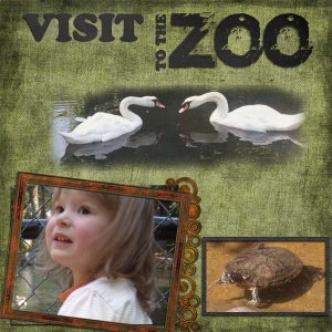Visit to the Zoo