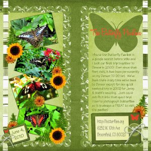Butterfly Pavilion