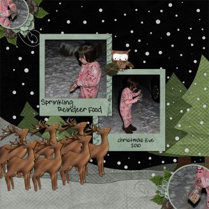 Reindeer_food_small