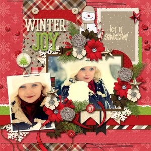 A Winter Joy
