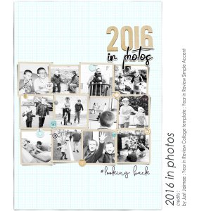 2016 in photos