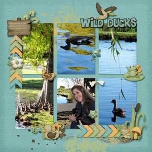 Wild Ducks