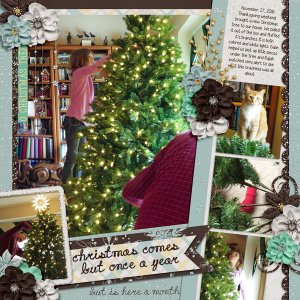 December Starts