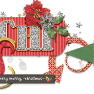 December siggie 2016