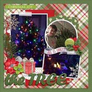 The Tree