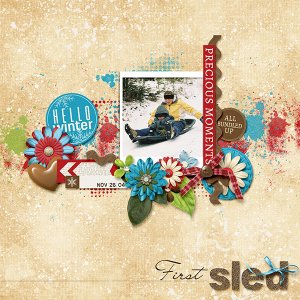 First Sled