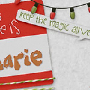 Annemaries Dec 2016 Siggy