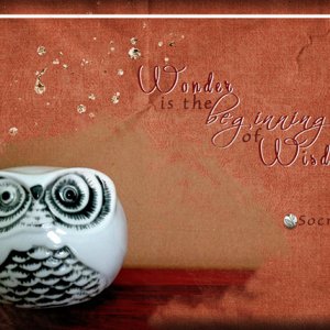 ATC 2016-87 Wonder