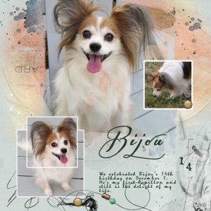 Bijou