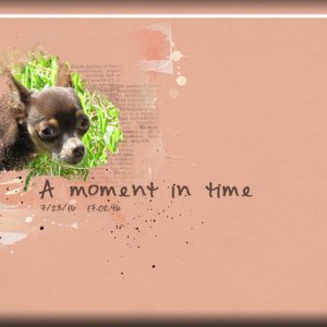 ATC 2016-86 A Moment in Time