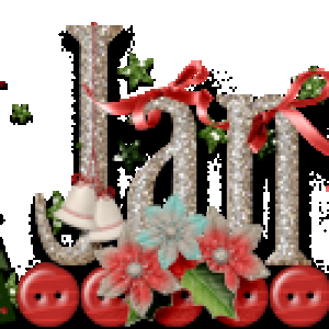 Jan's December Siggie