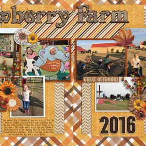 Dewberry Farm 2016