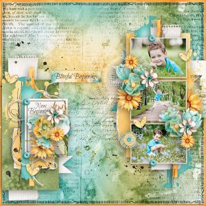 Blissful Beginnings
