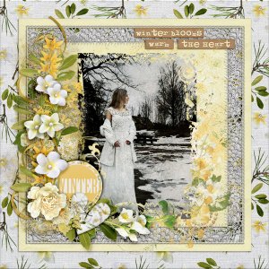 Winter-blooms