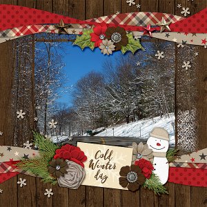 cold-winter-day1