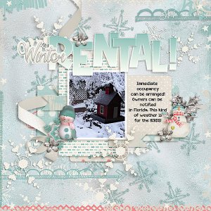 Winter Rental