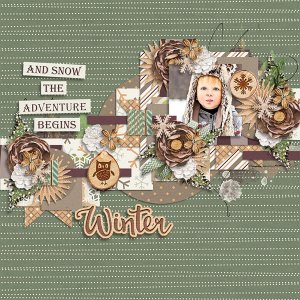 winterwoodland-S771