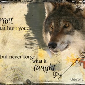 ATC 2016-89 Forget