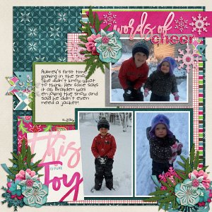 Winter Joy