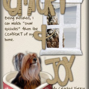 Comfort + Joy