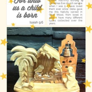 Day 8 December Daily Nativity