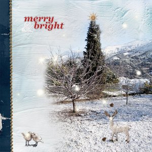 Merry Bright