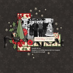 Disneyland Holiday