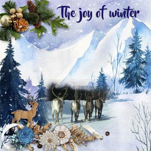 The-joy-of-winter