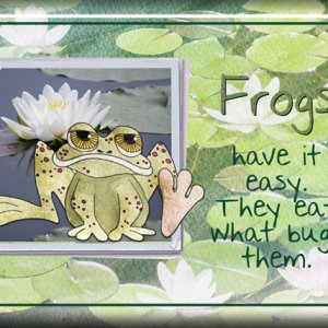 ATC 2016-102 Frogs
