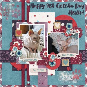Happy 9th Gotcha Day Merlin!