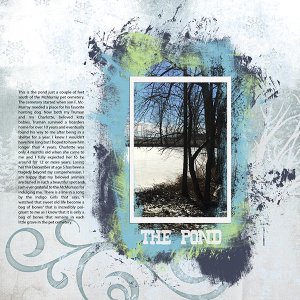 The Pond