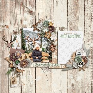 Winter Woodland