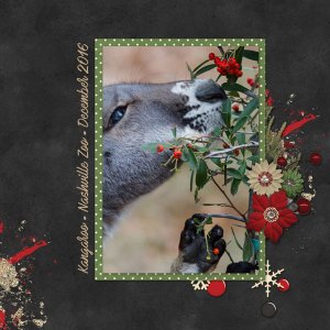 Dec Font - Kangaroo