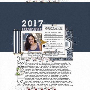 2017 Goals