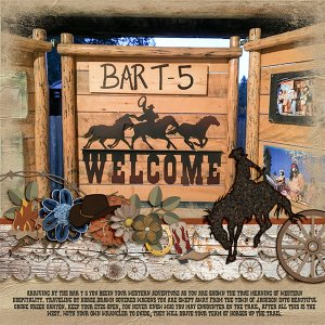 Bar T -5
