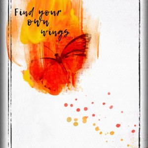 ATC 2016-106 Find Your Own Wings