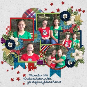 Brush Challenge Dec 2016